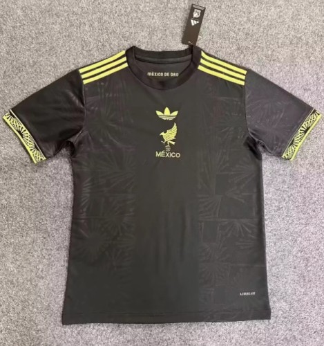Mexico 2025 México De Oro shirt