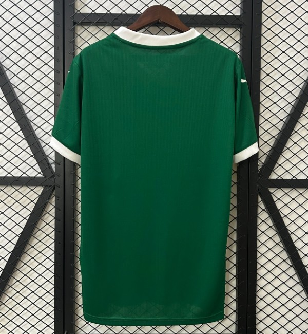 Palmeiras 2025/2026 home shirt