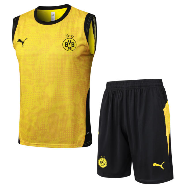 Dortmund 2025/2026 vest tracksuit yellow