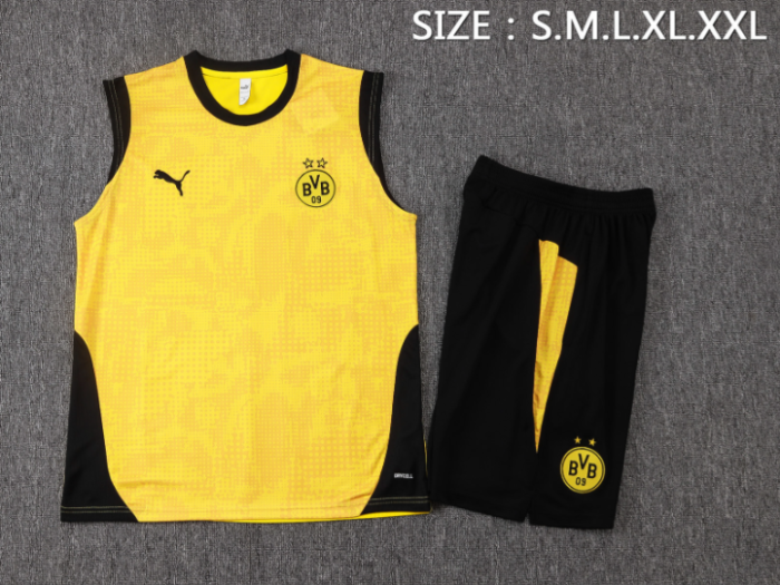 Dortmund 2025/2026 vest tracksuit yellow
