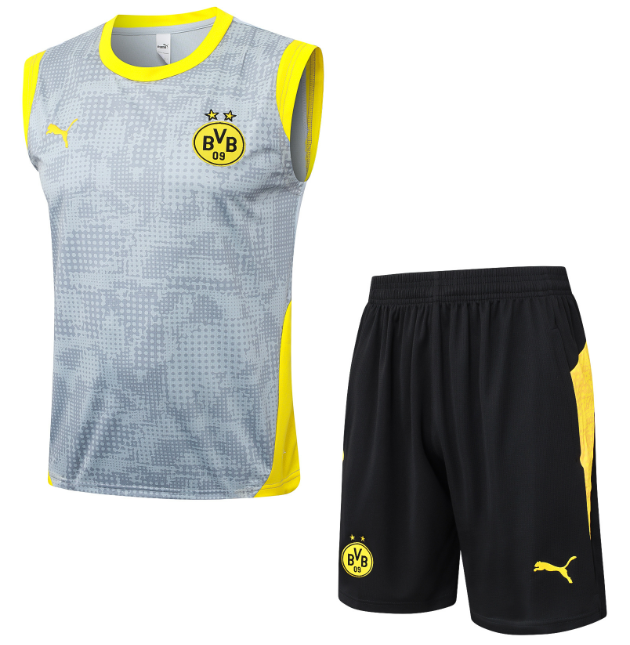 Dortmund 2025/2026 vest tracksuit grey