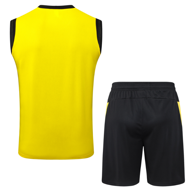 Dortmund 2025/2026 vest tracksuit yellow