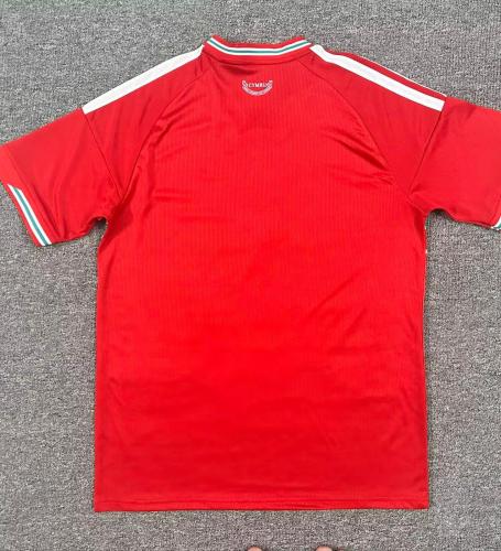 Wales 2026 home shirt