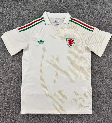 Wales 2026 away shirt