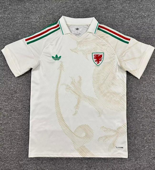 Wales 2026 away shirt