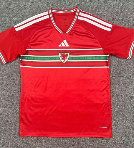 Wales 2026 home shirt