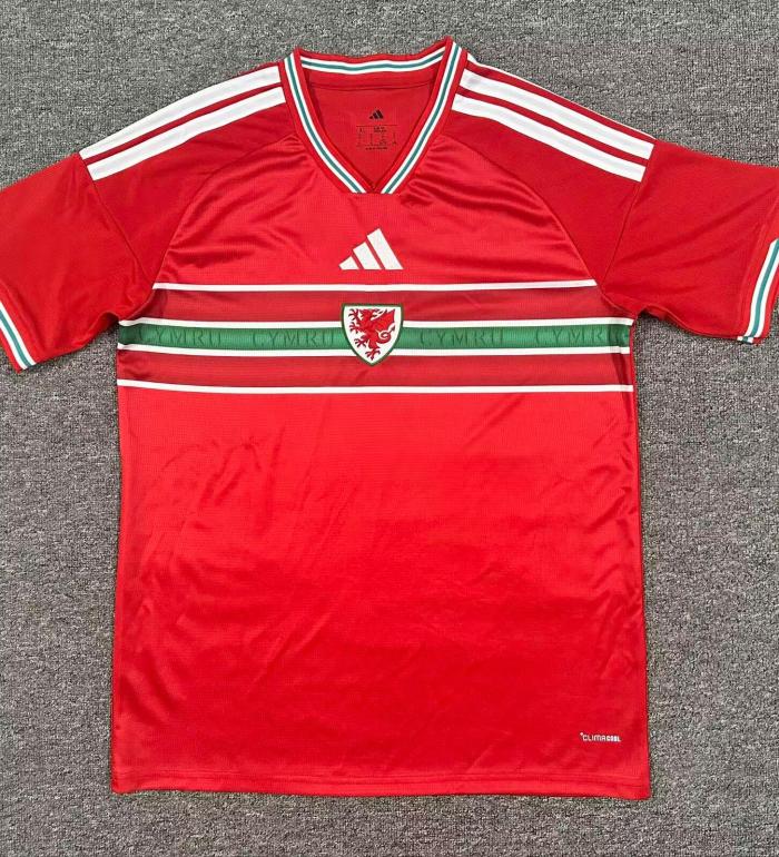 Wales 2026 home shirt