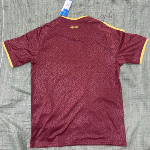 Spain 2026 Special shirt World Cup