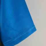 22-23 Newcastle BlueTraining Shirts