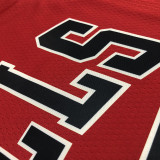 21-22 Bulls JORDAN #45 Red 75th Anniversary Top Quality Hot Pressing NBA Jersey