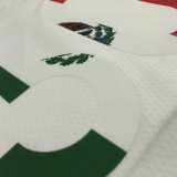 21-22 Warriors CURRY #30 'Mexico' White City Edition Top Quality Hot Pressing NBA Jersey