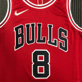 21-22 Bulls LAVINE #8 Red 75th Anniversary Top Quality Hot Pressing NBA Jersey
