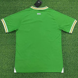 23-24 Ireland Home Fans Soccer Jersey