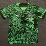 22-23 Nigeria Home Fans Soccer Jersey