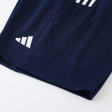 2023 AD03 Royal Blue Training Short Suit