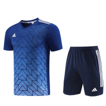2023 AD05 Light Blue Training Short Suit
