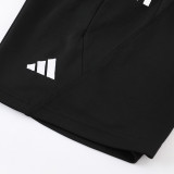 2023 AD03 Grey Training Short Suit