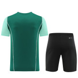 2023 AD03 Green Training Short Suit