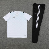 2023 AD05 White Short-sleeved Trouser Suit