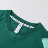 2023 AD03 Green Short-sleeved Trouser Suit
