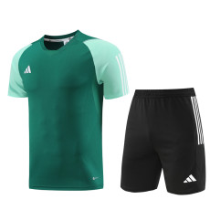 2023 AD03 Green Training Short Suit
