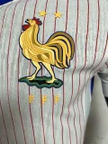 2024 France Away   Player Version Soccer Jersey