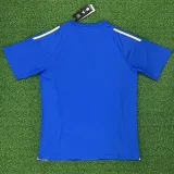 24-25 Argentina Blue Gen10s Fans Soccer Jersey (星火十代)