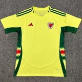 24-25 Wales Away Fans Soccer Jersey