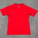 24-25 Wales Home Fans Soccer Jersey