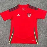 24-25 Wales Home Fans Soccer Jersey