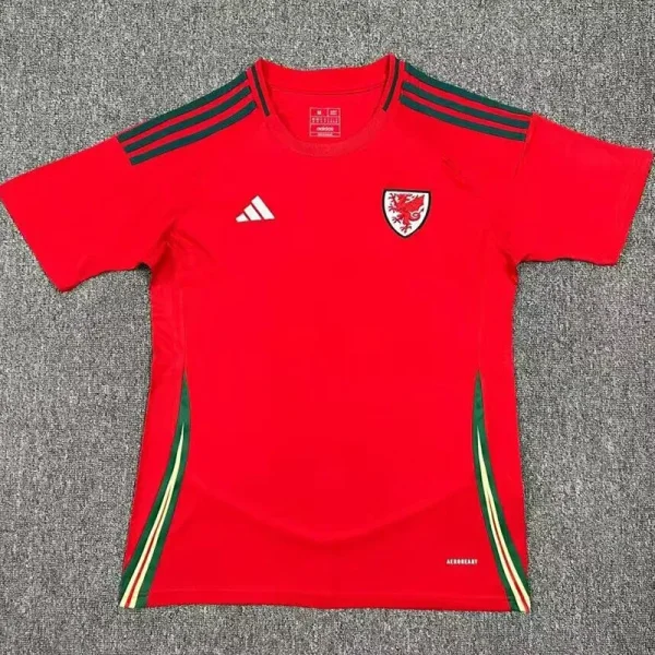 24-25 Wales Home Fans Soccer Jersey
