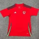 24-25 Wales Home Fans Soccer Jersey