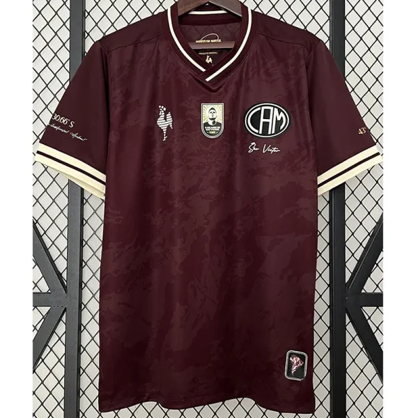 24-25 Mineiro Special Edition Fans Soccer Jersey
