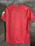 24-25 Sevilla Away Fans Soccer Jersey