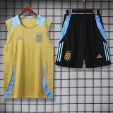 24-25 Argentina Earthy Gold Tank top and shorts suit