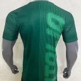 24-25 Italy Green Training shirts