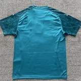 24-25 Mexico Green Blue Training shirts