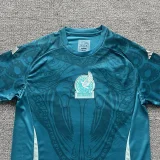 24-25 Mexico Green Blue Training shirts