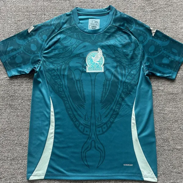 24-25 Mexico Green Blue Training shirts