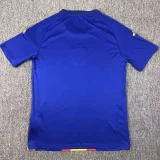 24-25 Spain Blue Training shirts