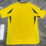 24-25 AL-Nassr Home   Fans Soccer Jersey