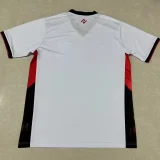 24-25 Vitoria Away Fans Soccer Jersey