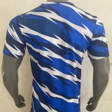 24-25 Scotland Blue Training shirts