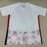 24-25 Lille Away Fans Soccer Jersey