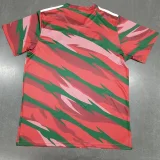 24-25 Wales Red Training shirts