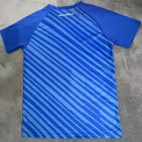 24-25 Dinamo Zagreb Home Fans Soccer Jersey