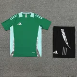 2024 AD08 Green Training Short Suit