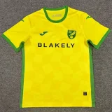 24-25 Norwich City Home Fans Soccer Jersey