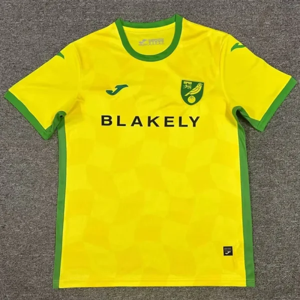 24-25 Norwich City Home Fans Soccer Jersey