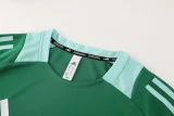 2024 AD08 Green Training Short Suit